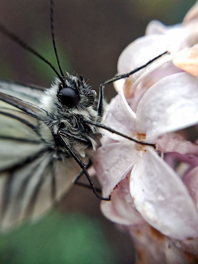 Photograph by Анастасия Старикова