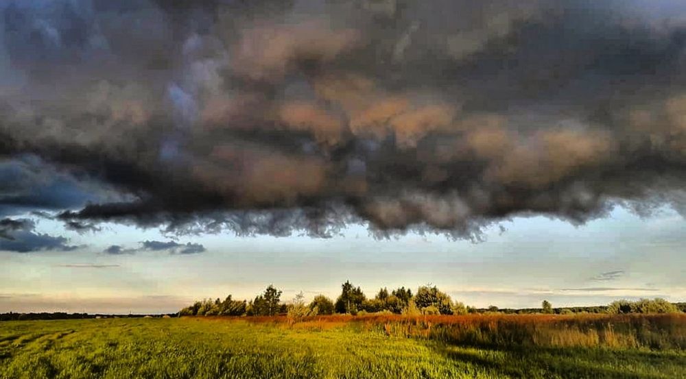 Photograph by Elena Lukashina