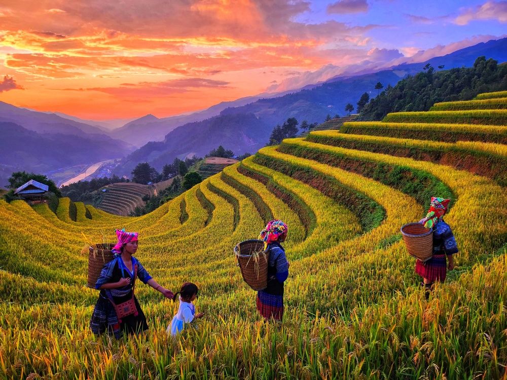 Photograph by Tran Phuong
