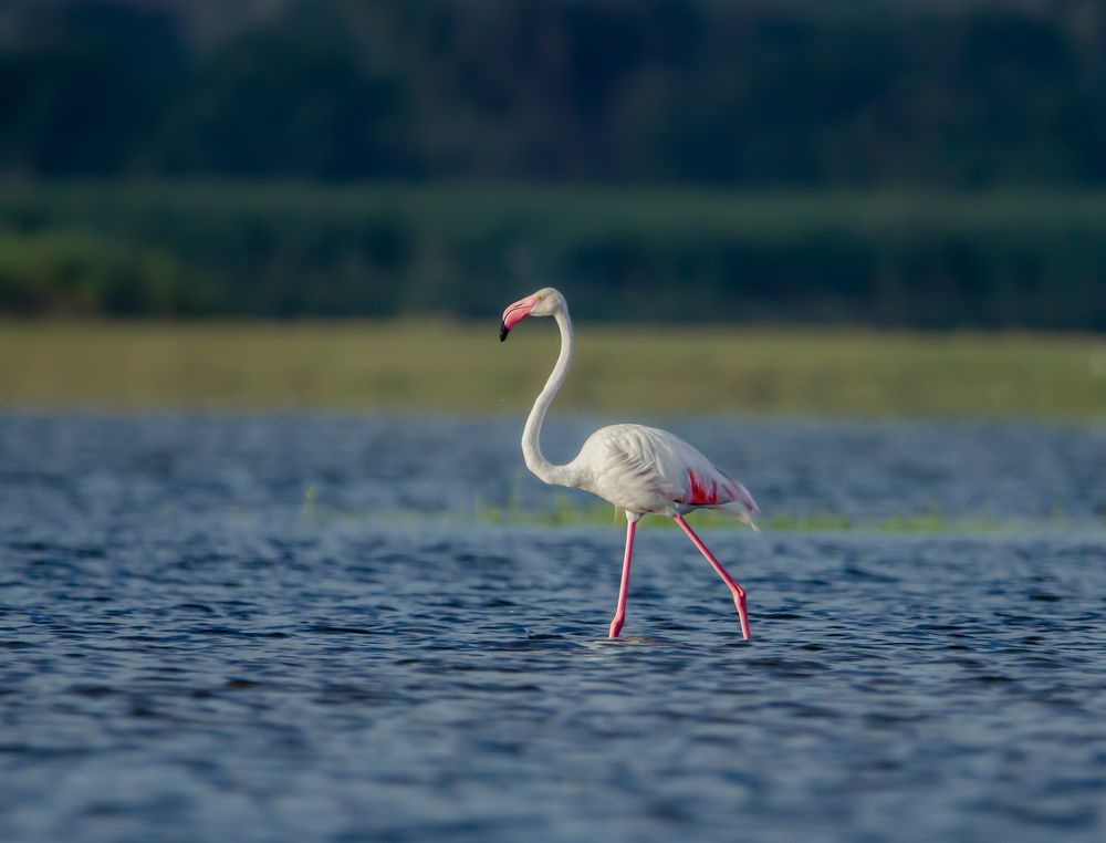 Photograph by Mayank Bhushan