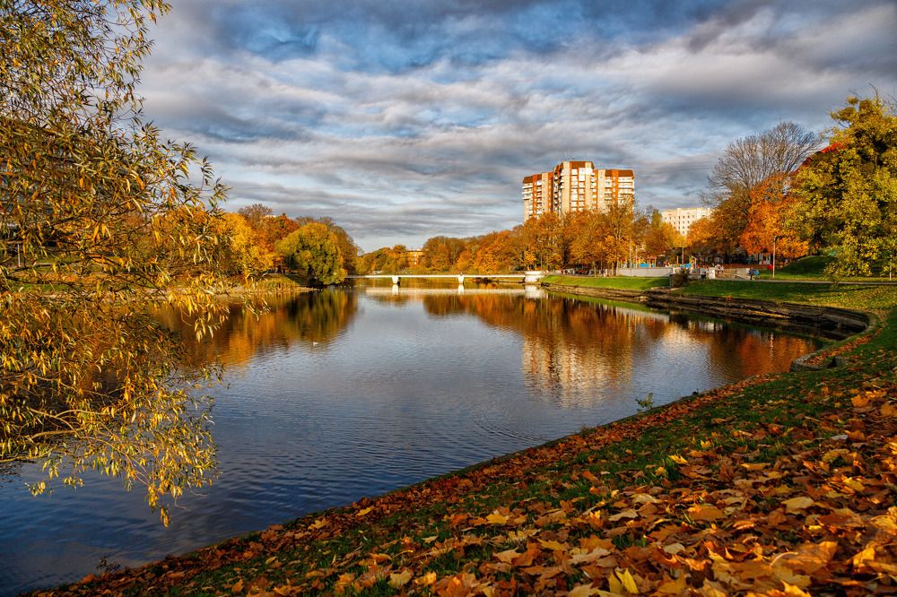 Фотография автора Виталий Новиков