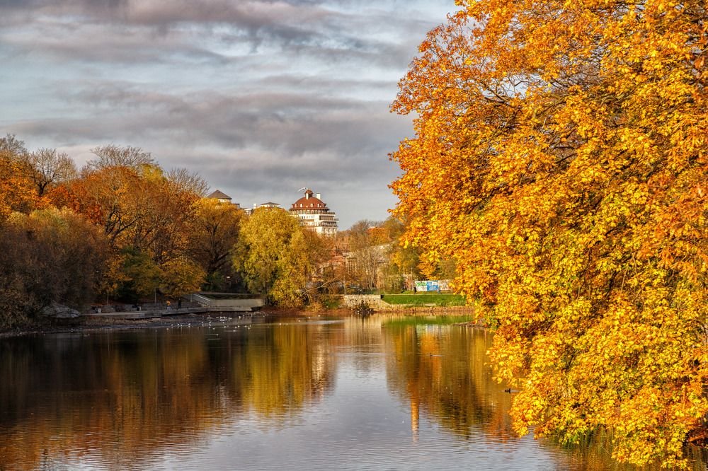Фотография автора Виталий Новиков