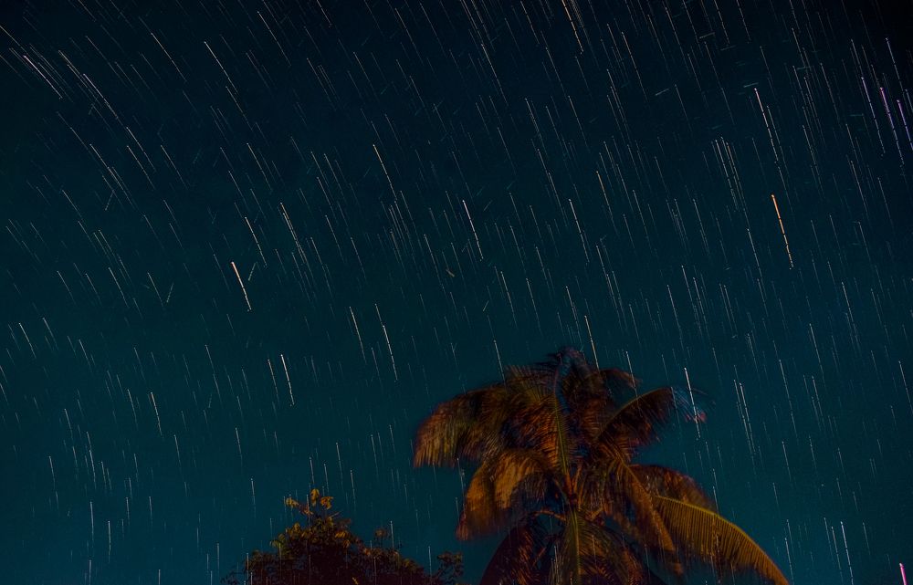 Photograph by Pratyayee Dutta