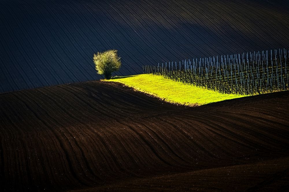 Photograph by Milan Uhrin