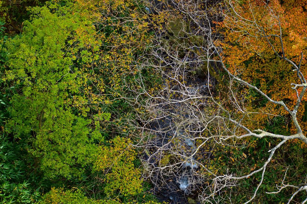 Фотография автора Sen Abhijit