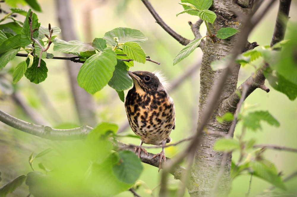 Photograph by Юрий Яковлев