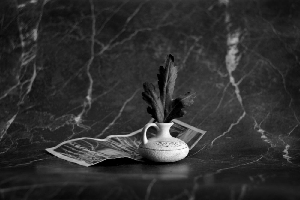 Photograph by Инна Карасева