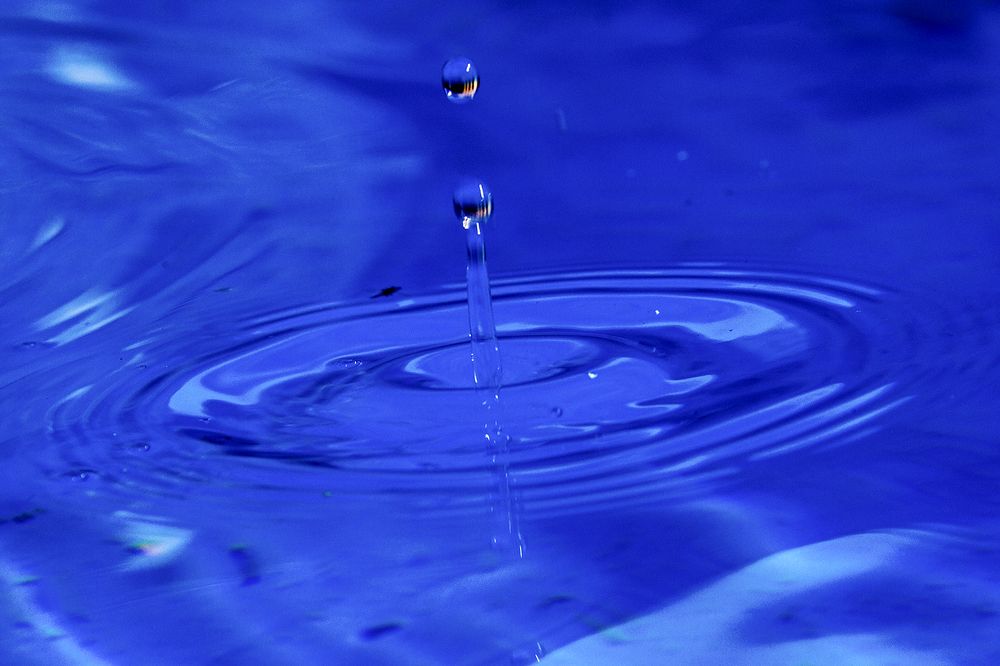 Photograph by behzad homayouninejad