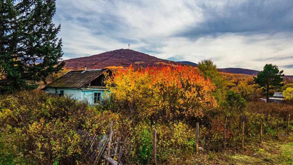 Photograph by Павел Алтухов