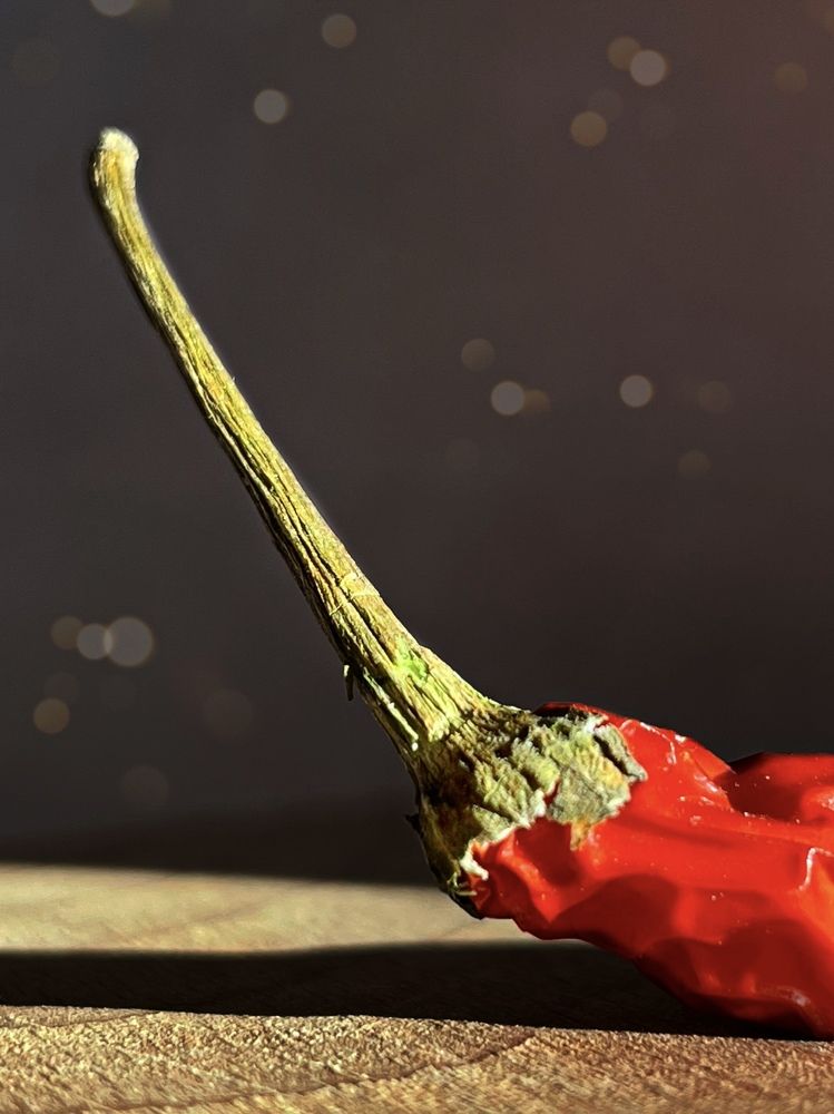 Photograph by Татьяна