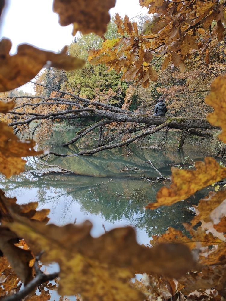 Photograph by Андрей Ионов