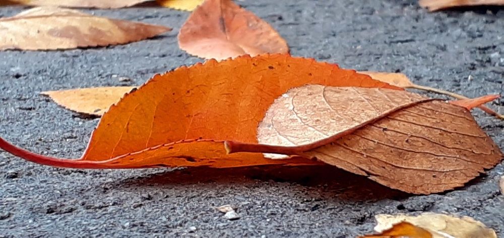 Photograph by Евгения Ульянова