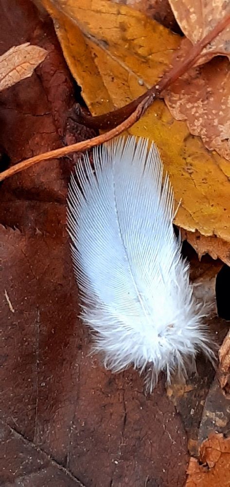 Photograph by Евгения Ульянова