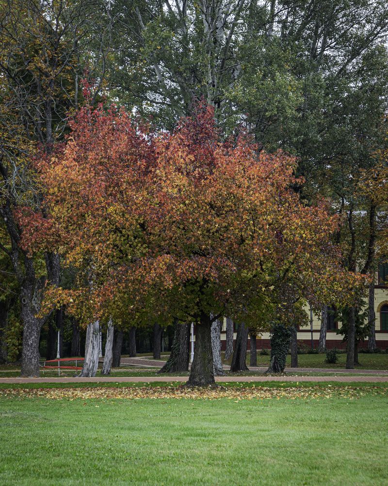 Фотография автора Minja Jovetic