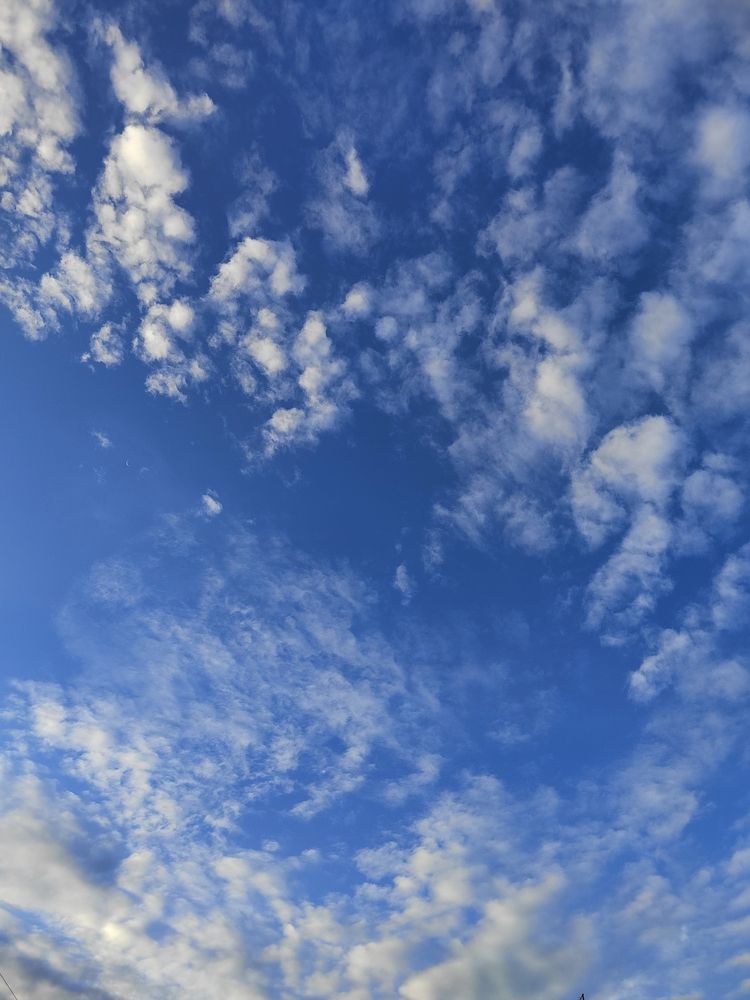 Photograph by Елена Аверьянова