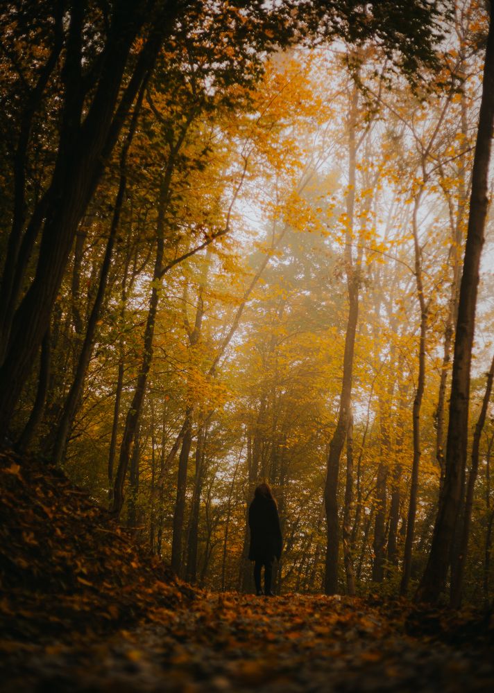 Photograph by Ernest Mazarekić