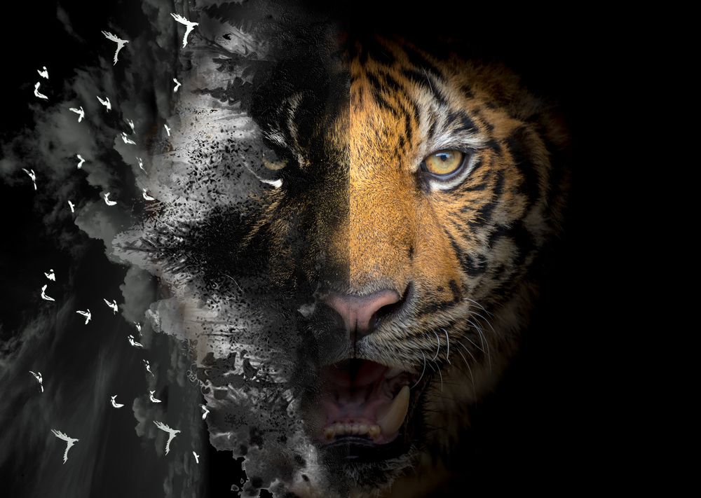 Photograph by Martina Bortoluzzi