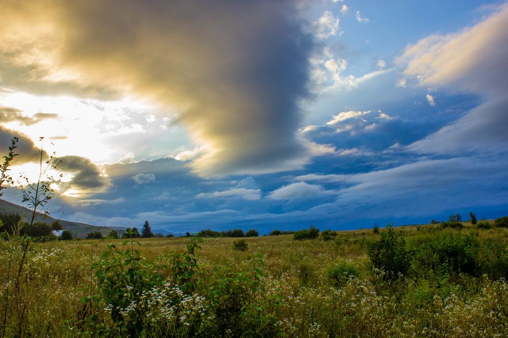 Фотография автора Minja Jovetic