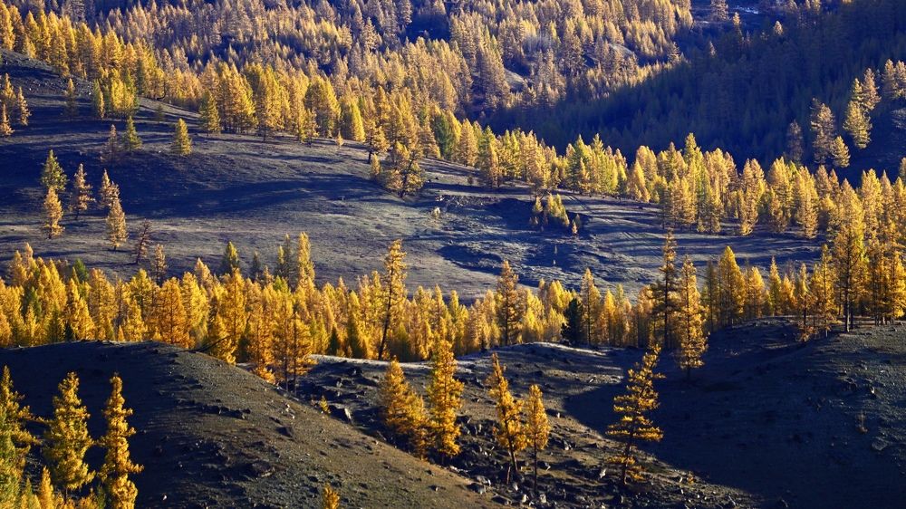 Photograph by Андрей Кузнецов