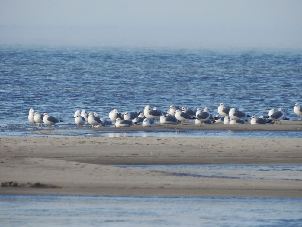 Photograph by Римма Большакова