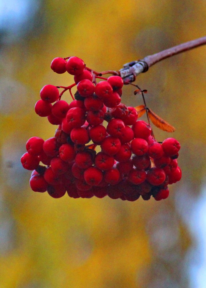 Photograph by Николай Николаевич Леухин