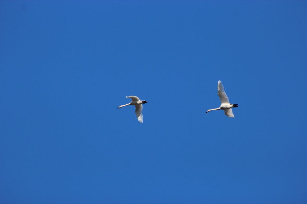 Photograph by Александр Велигура