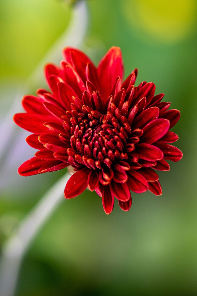 Photograph by Наталья