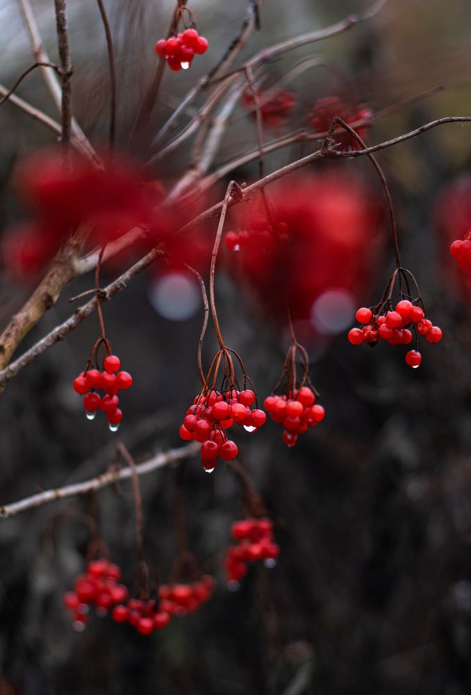 Photograph by Наталья