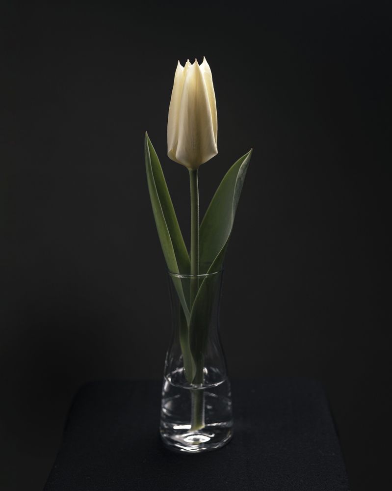 Photograph by Elena Brown