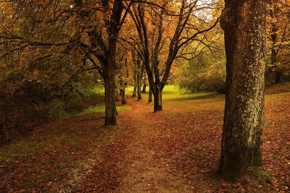 Photograph by Виктория Солодар