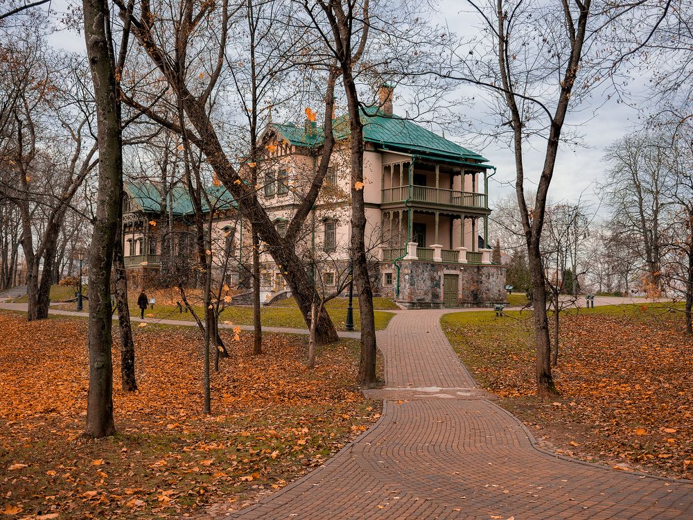 Photograph by Елена Стещенко