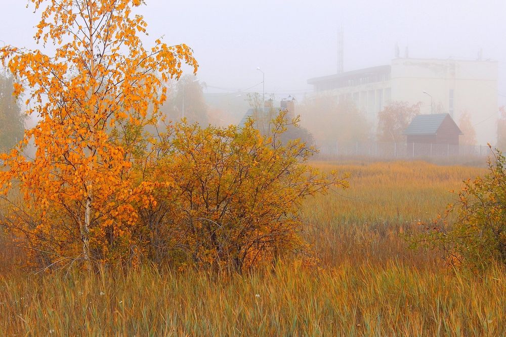 Photograph by Александр Велигура