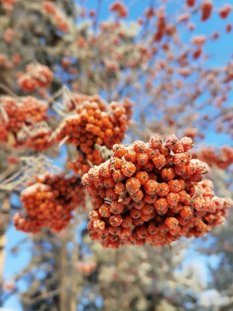 Photograph by Константин