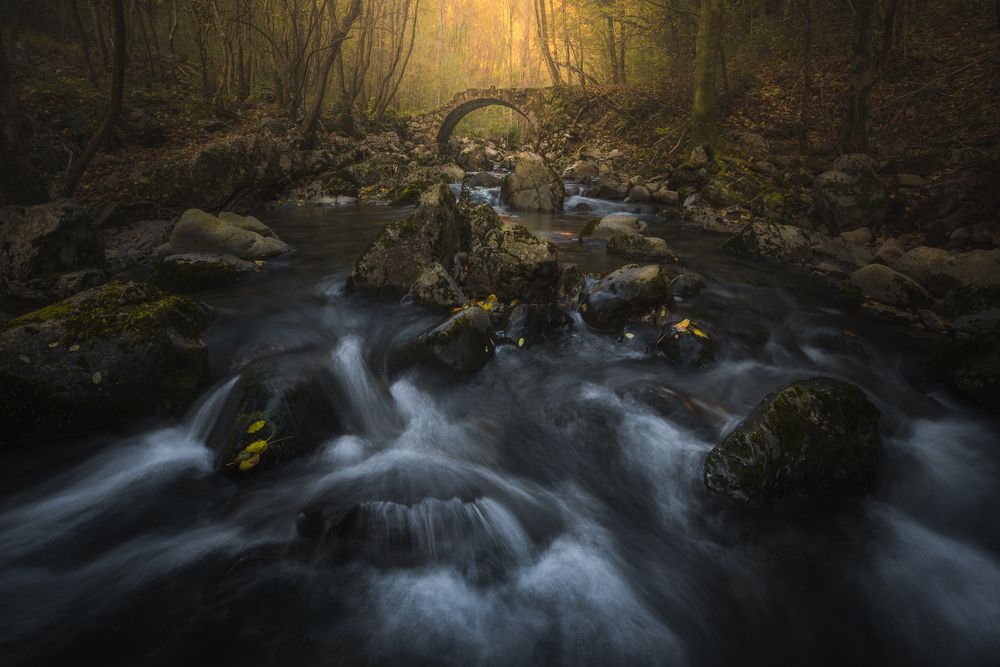 Photograph by Paolo Gabriele Maiero