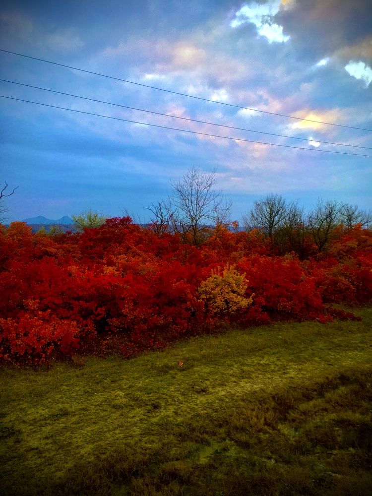 Photograph by Olga Afanaseva