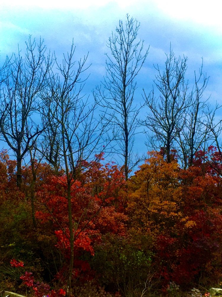 Photograph by Olga Afanaseva