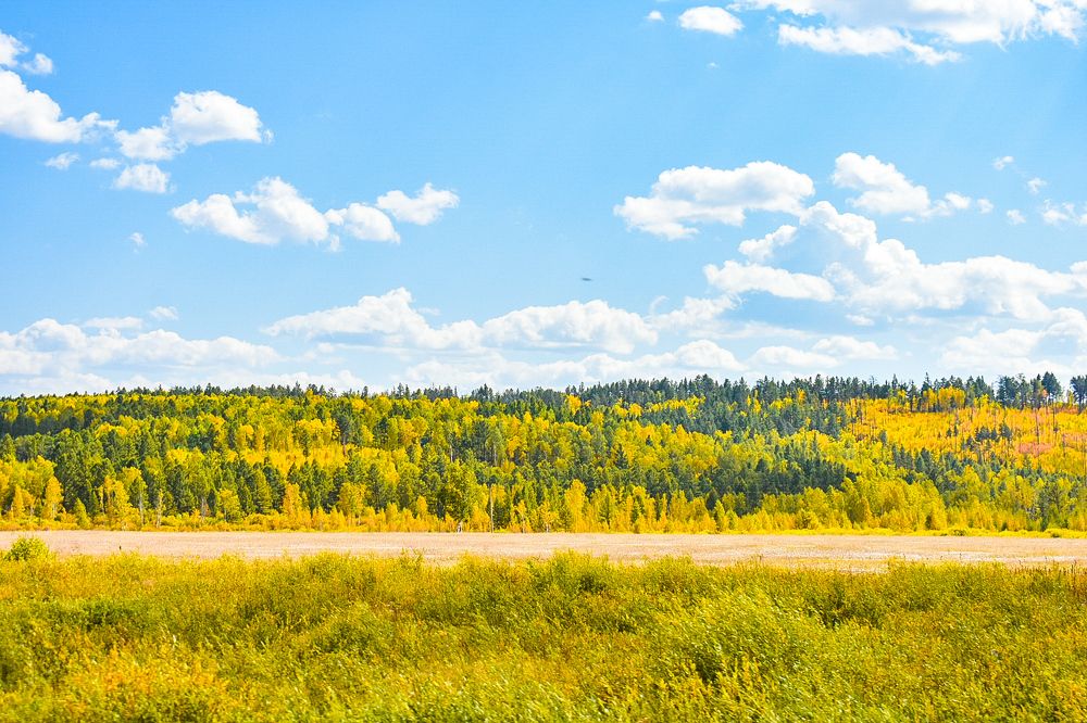 Photograph by Ольга Пономарева