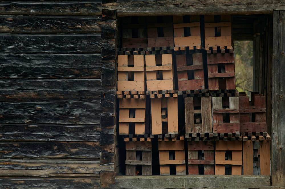 Photograph by Алексей Гунёв