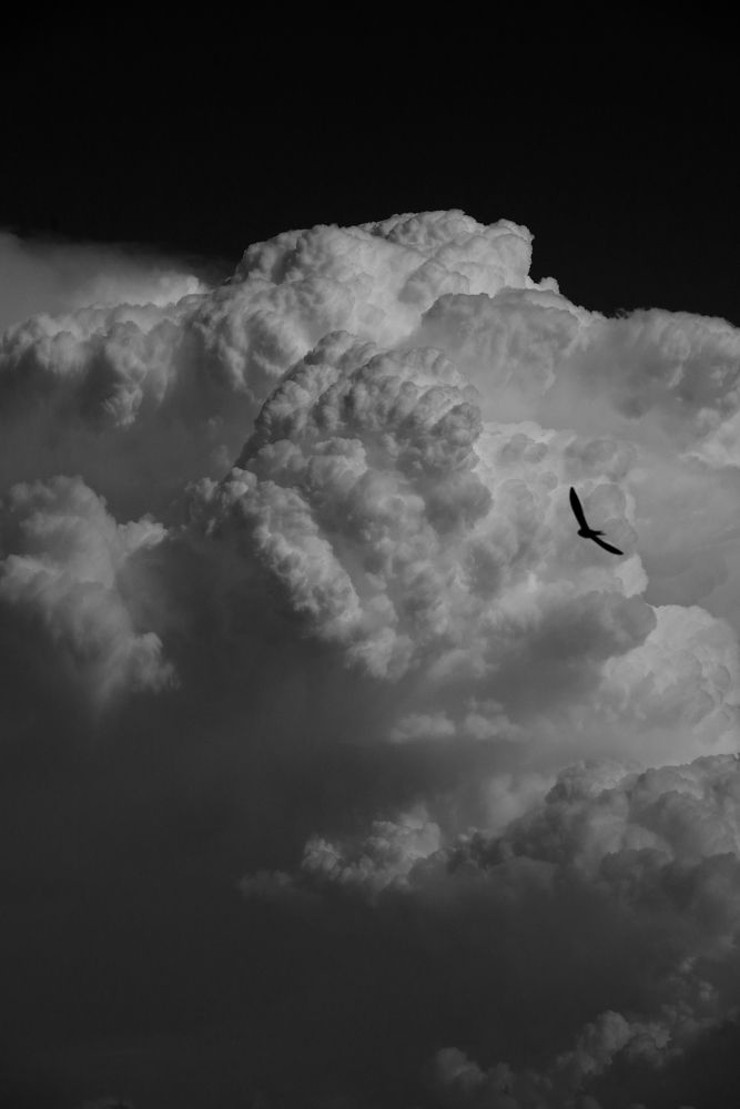 Photograph by Andrew Becker