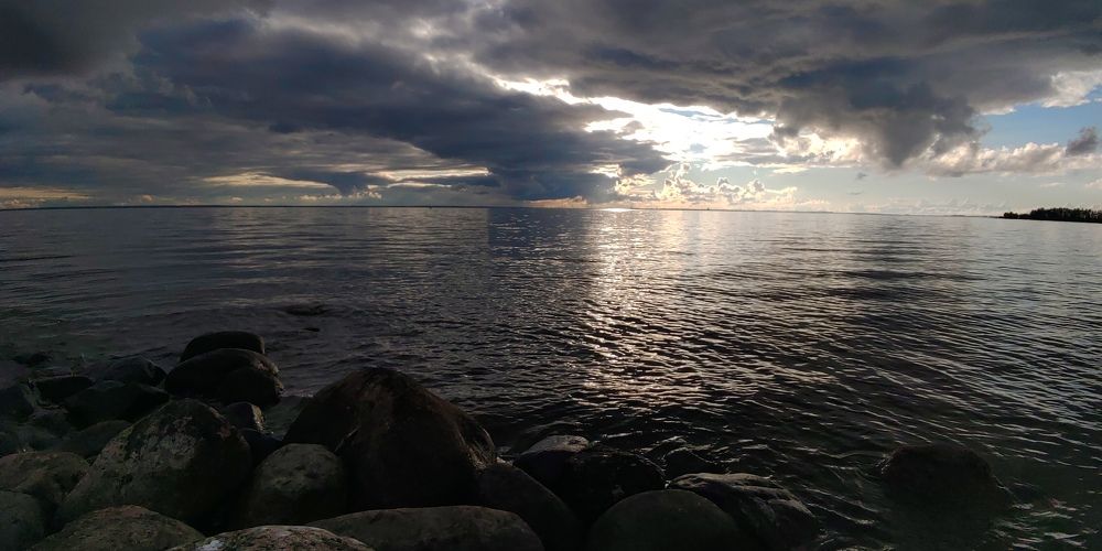 Photo #8301096