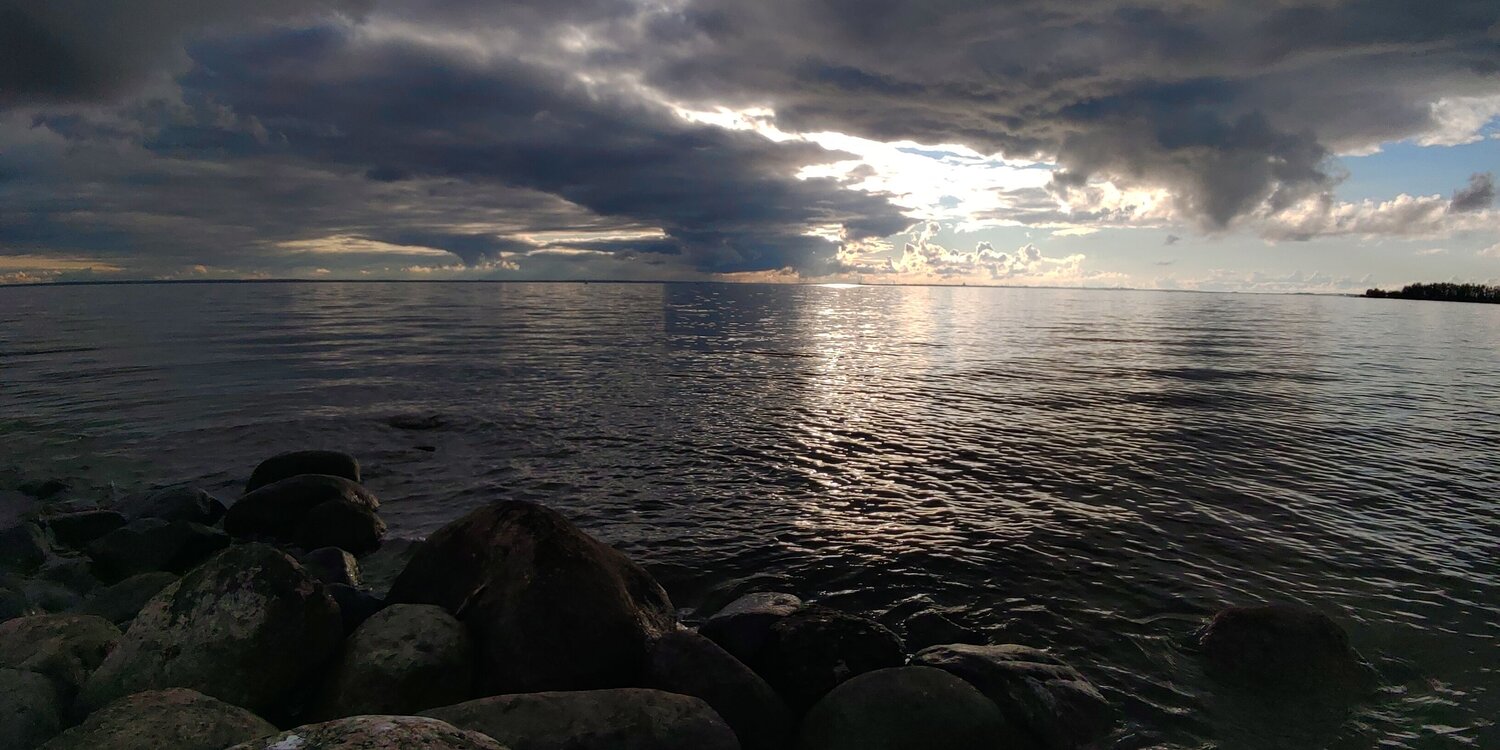 Photo #8301096