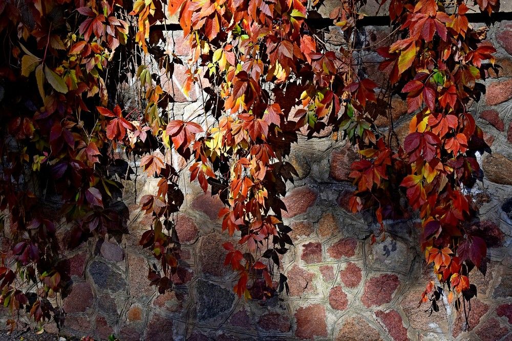 Photograph by Alexey Smal