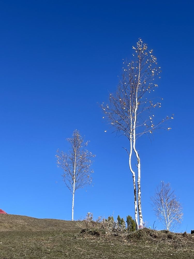 Photograph by Наталья Сережко