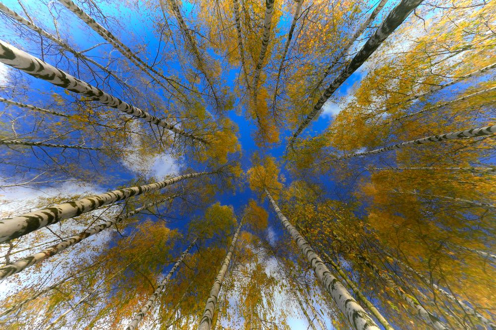 Прощание с осенью