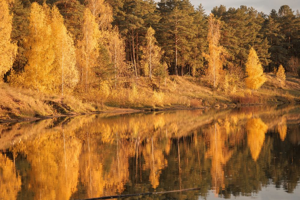 Photograph by Румия Кондакова