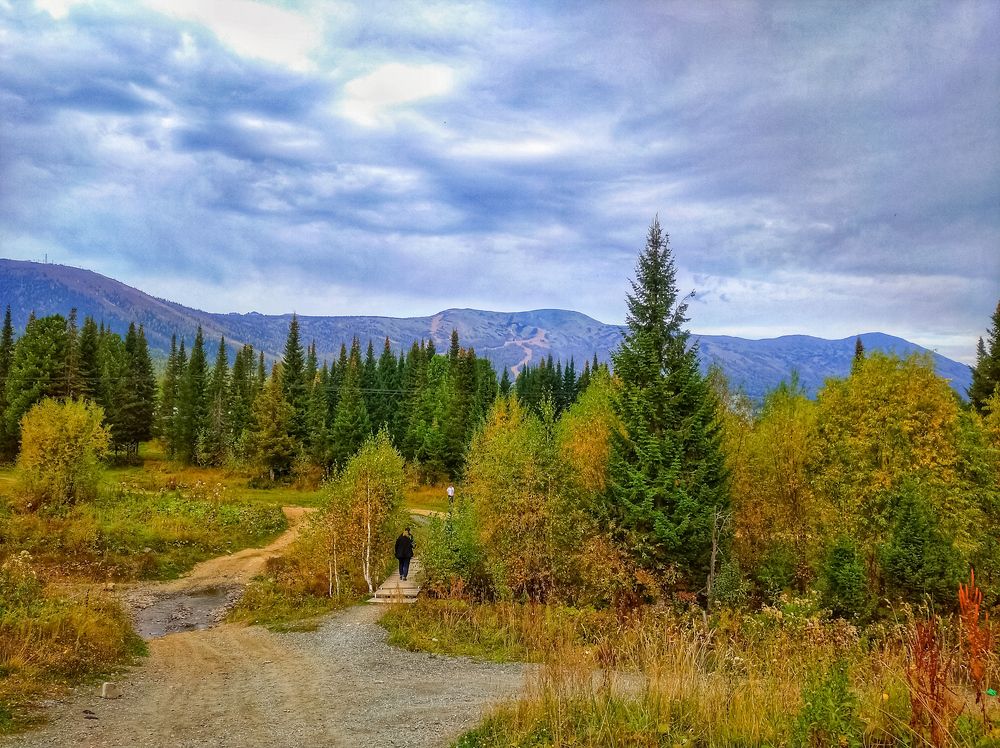 Таёжный край