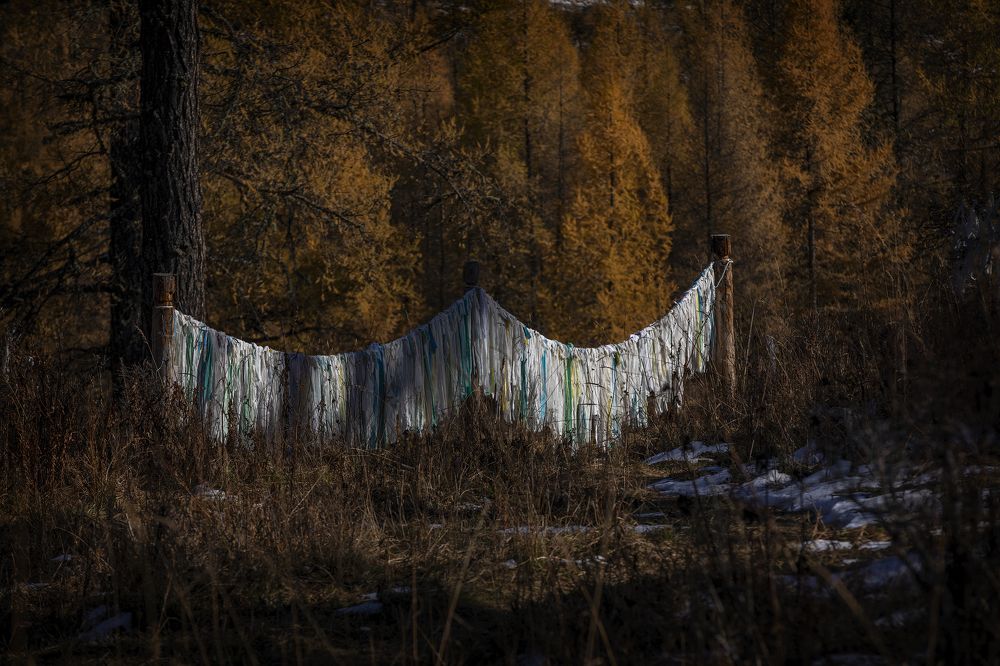 Photograph by Дмитрий Юдин