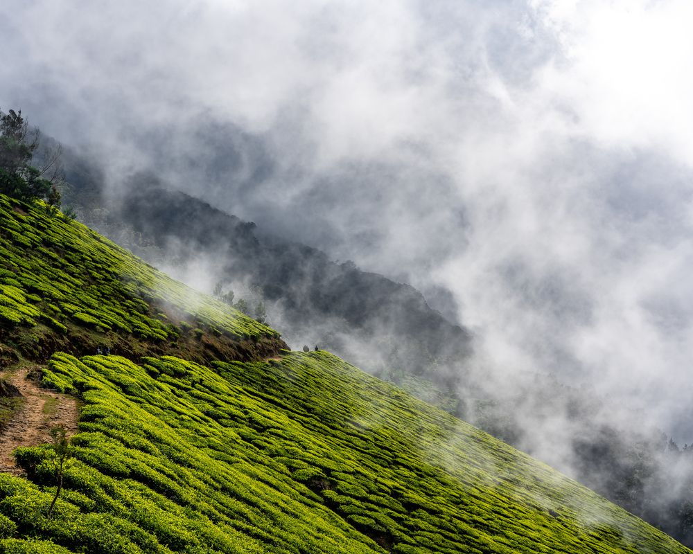 Фотография автора alvin