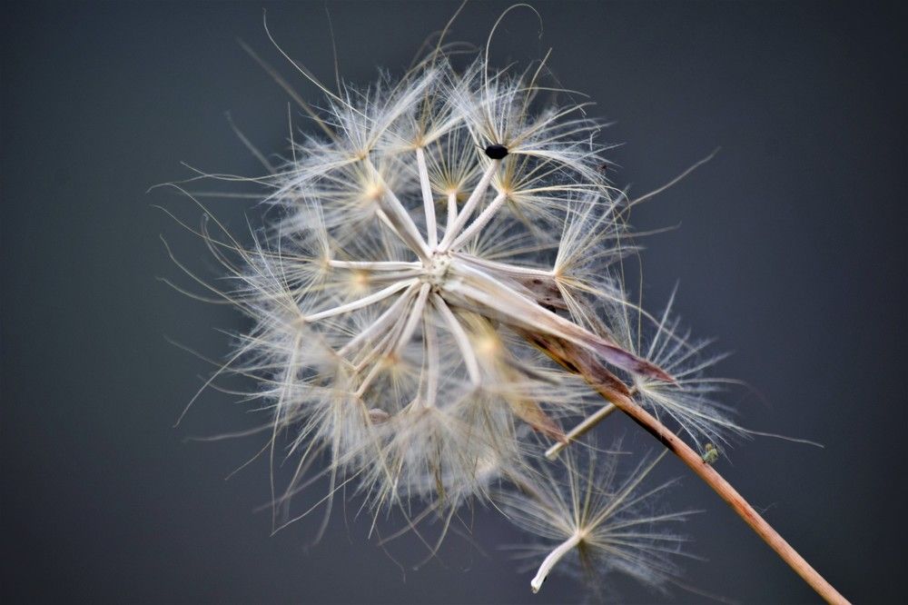 Photograph by Лариса Стрекулева