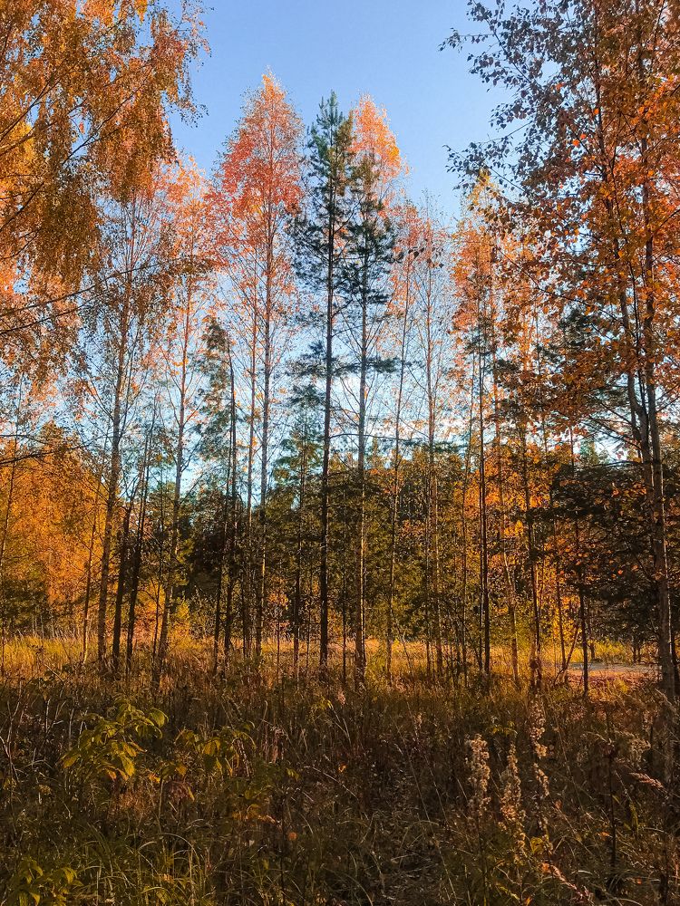 Photograph by Арина Горшенкова